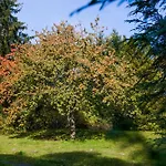 بيت خشبي Vlci Hora